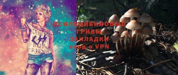 тгк Беломорск