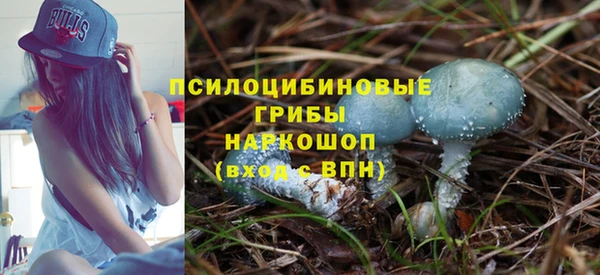 тгк Беломорск
