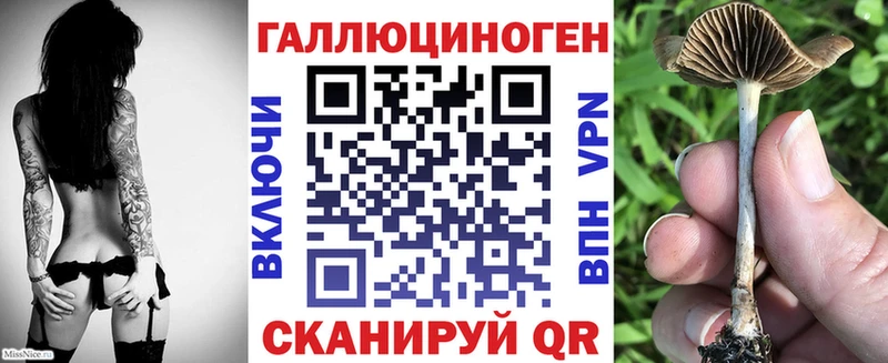 Купить  Светлоград  Псилоцибиновые грибы GOLDEN TEACHER 